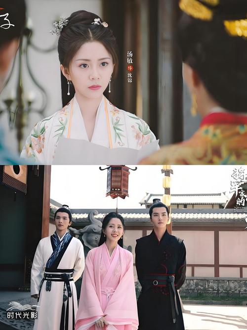 将军家的小娘子电视剧在线观看：正版高清资源，优酷腾讯可搜